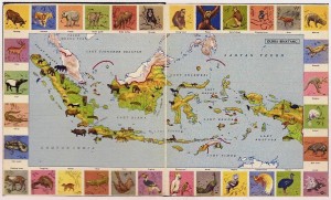 Figure 3: Dunia Binatang (world of animals), from Atlas Indonesia untuk Sekolah Rakyat IV-V-VI  [Indonesian Atlas for popular schools level 4-5-6] (Jakarta: Ichtiar, 1954).