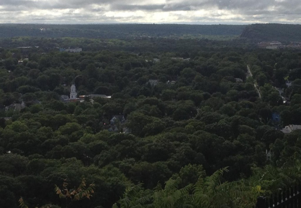 Historical Roots Sandy, Skeletons, and Elm City Active History