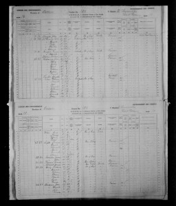 page from the 1881 census