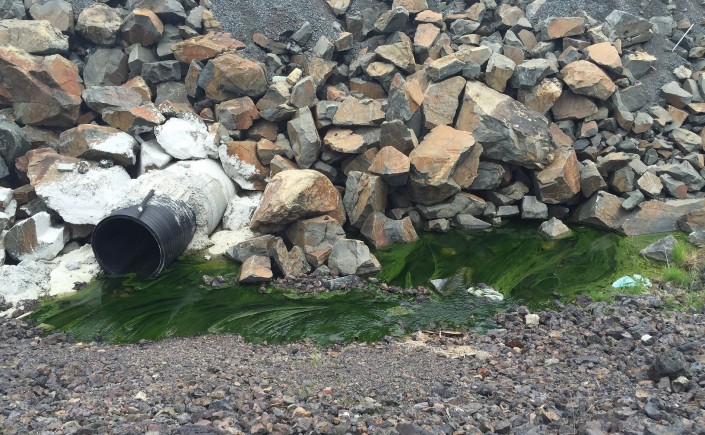 Green water seeping down from the slag pile and entering the culvert that runs under Big Nickel Mine Drive, May 27, 2015. Author’s photo.