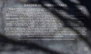 photo-5