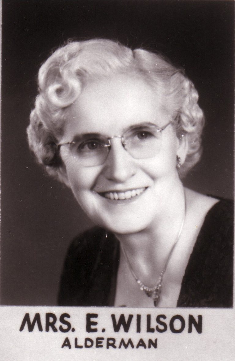 Rethinking the Contributions of Union Activist Ethel Wilson Within the