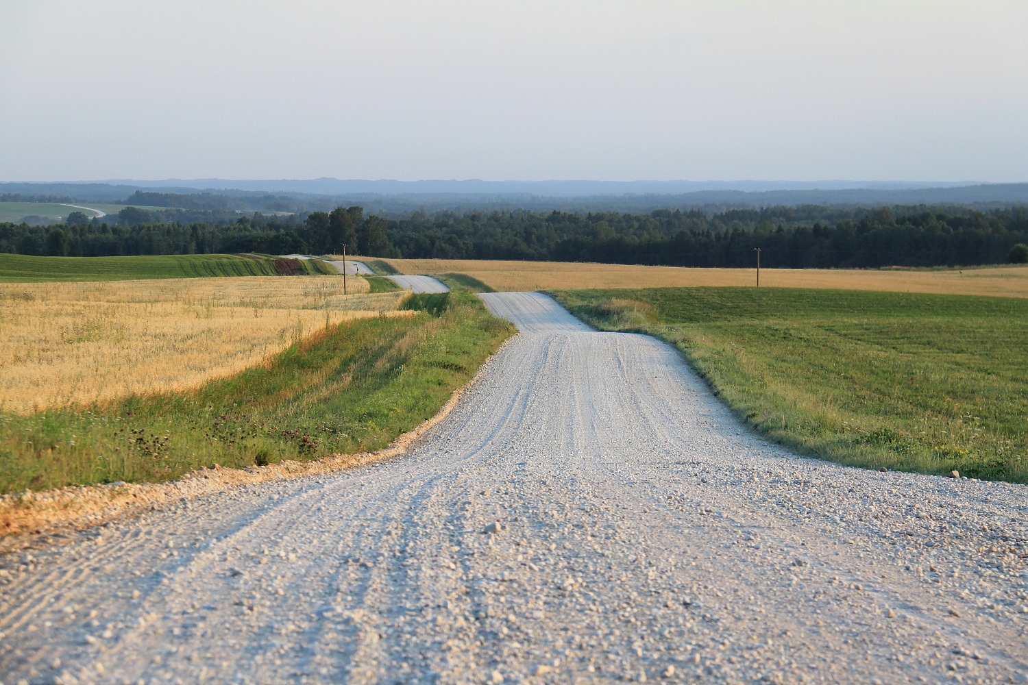 image of an empty gravel road and rolling hills of the Driftless.