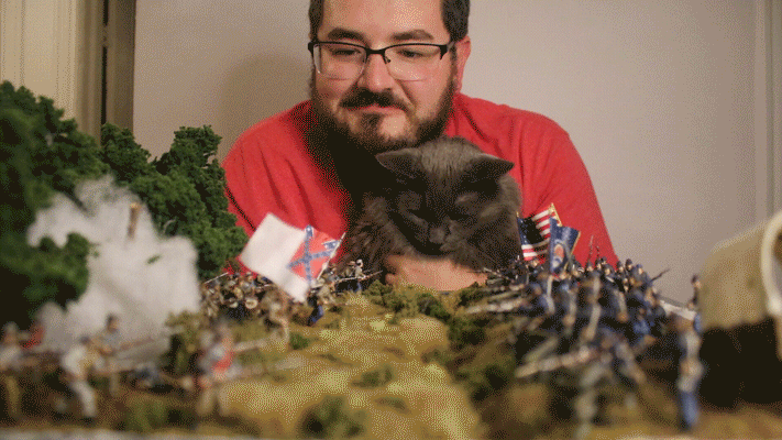 Person with a beard and glasses, wearing a red t-shirt, looks at a diorama of a Civil War battlefield. They are holding a grey cat with green eyes.