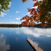 Photograph of a calm lake with a brown wooden dock extending away from the viewer. There are red and green leaves on a tree branch in the foreground.
