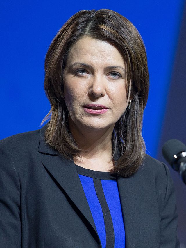 Photo of a white woman with shoulder-length brown hair wearing blue and black in front of a blue background.