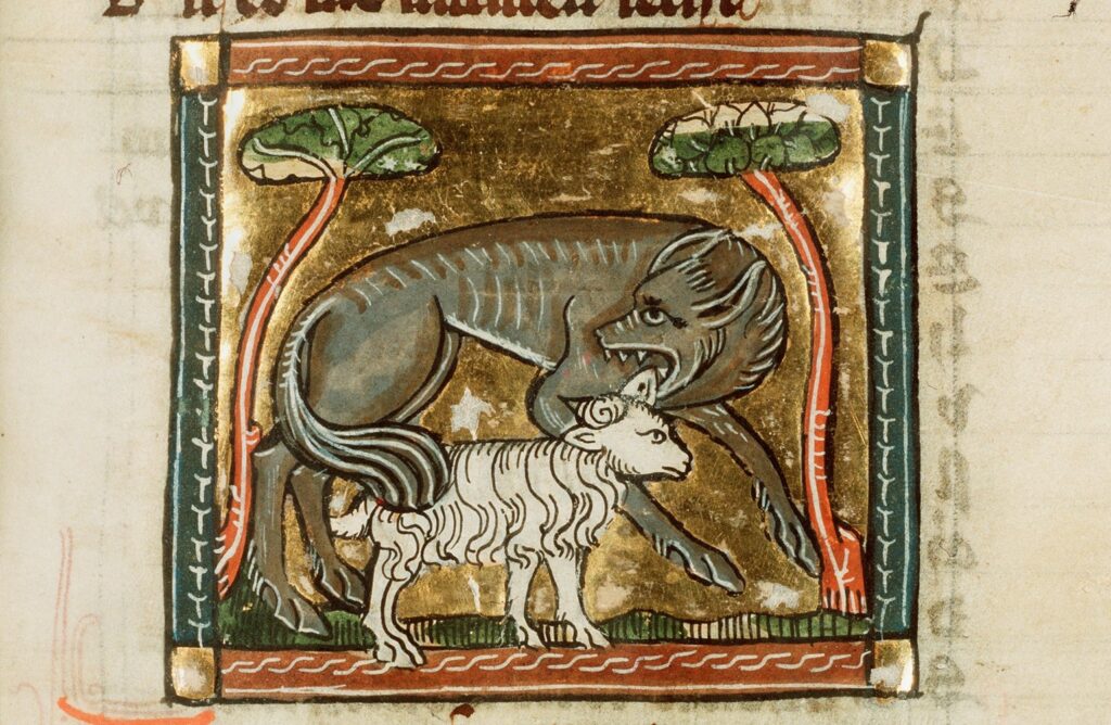 Illustration of a wolf about to bite a lamb.